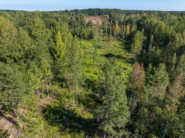 00 Purvis to Baxterville Rd., Purvis, MS 39475