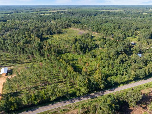 00 Purvis to Baxterville Rd., Purvis, MS 39475