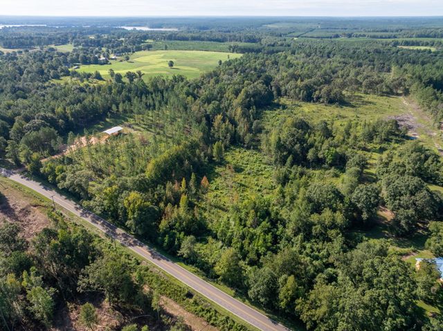 00 Purvis to Baxterville Rd., Purvis, MS 39475