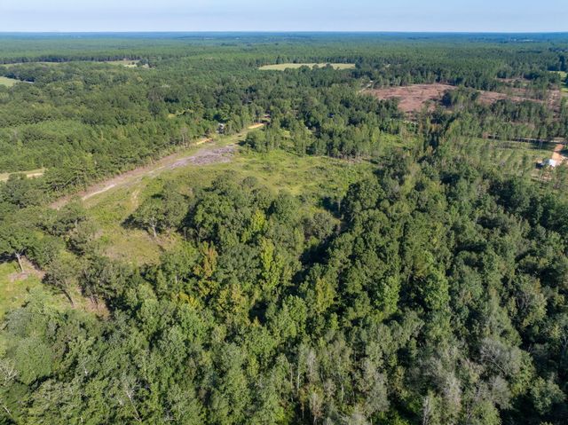 00 Purvis to Baxterville Rd., Purvis, MS 39475