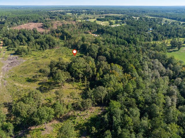 00 Purvis to Baxterville Rd., Purvis, MS 39475