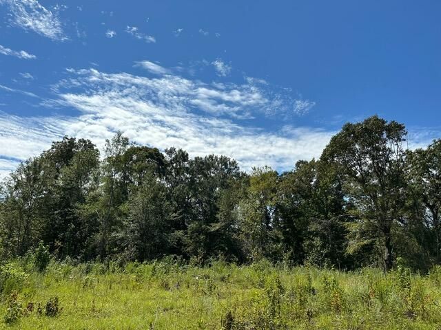 00 Purvis to Baxterville Rd., Purvis, MS 39475