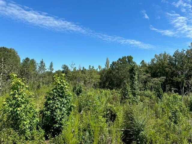 00 Purvis to Baxterville Rd., Purvis, MS 39475