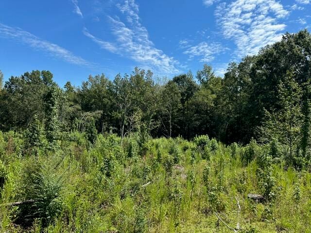 00 Purvis to Baxterville Rd., Purvis, MS 39475