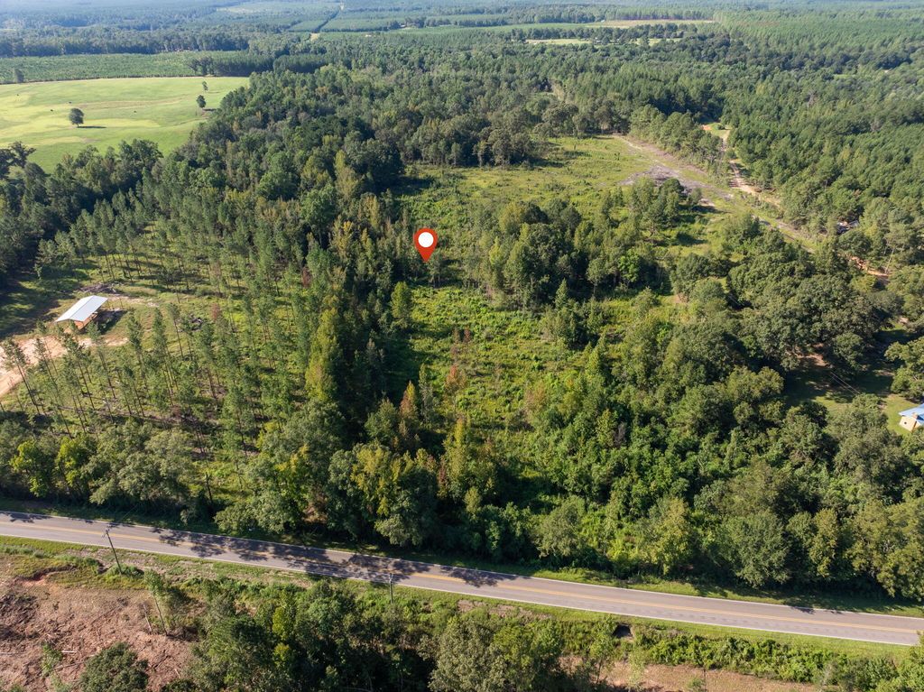 00 Purvis to Baxterville Rd., Purvis, MS 39475