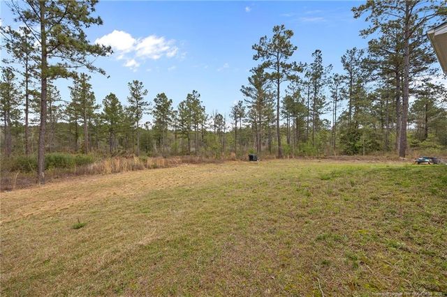 202 Yellow Jacket Trail, Cameron, NC 28326
