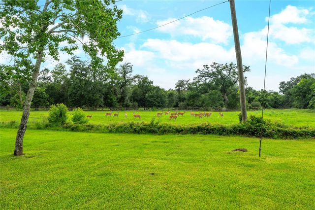 17126 Hamill Drive, Rosharon, TX 77583