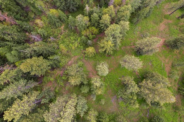 17534 E Off My Ln, Spokane, WA 99217