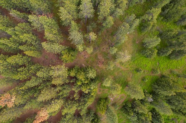 17534 E Off My Ln, Spokane, WA 99217