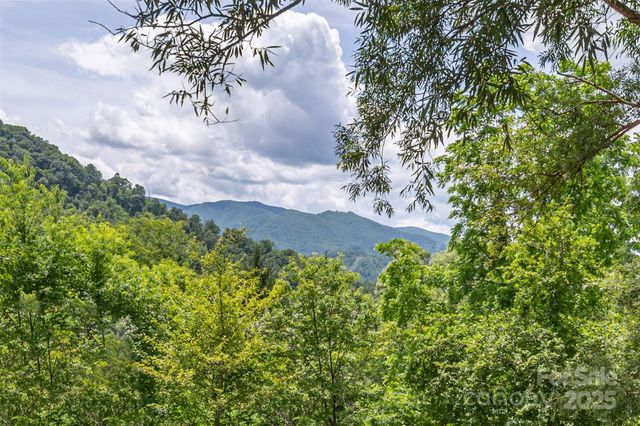 495 Courtney Lane, Canton, NC 28716