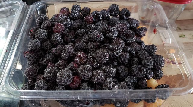 1239 Charles Avenue, Saint Paul, MN 55104