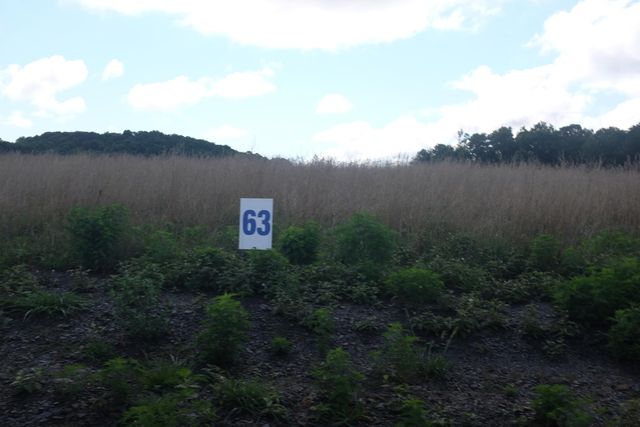 46 Bull Run, East Bernstadt, KY 40729