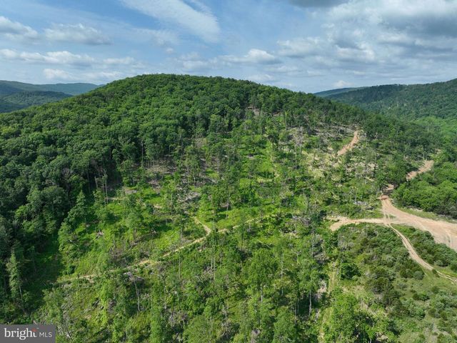 686.10 ACRES THORN BOTTOM RD, Wardensville, WV 26851