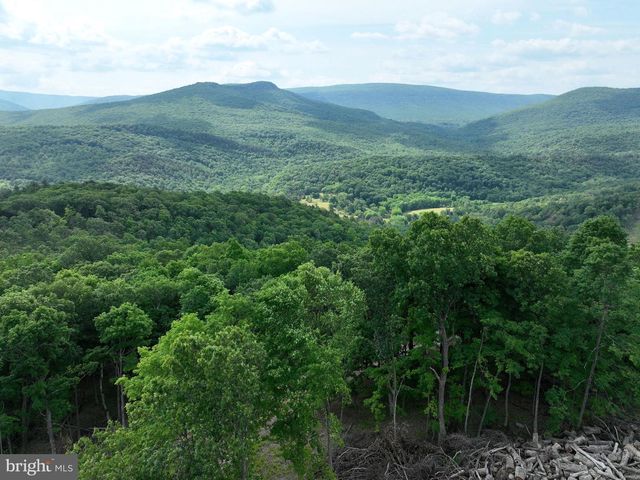 686.10 ACRES THORN BOTTOM RD, Wardensville, WV 26851