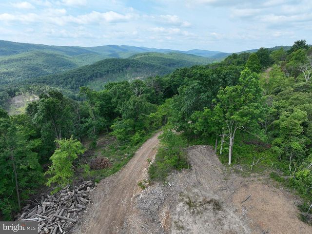 686.10 ACRES THORN BOTTOM RD, Wardensville, WV 26851