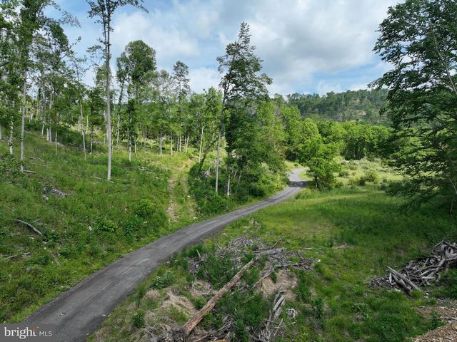 686.10 ACRES THORN BOTTOM RD, Wardensville, WV 26851