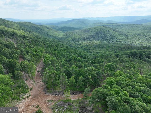 686.10 ACRES THORN BOTTOM RD, Wardensville, WV 26851