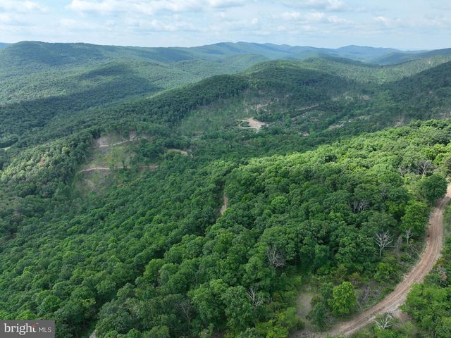 686.10 ACRES THORN BOTTOM RD, Wardensville, WV 26851