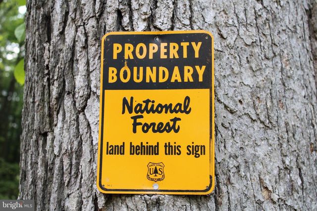 686.10 ACRES THORN BOTTOM RD, Wardensville, WV 26851