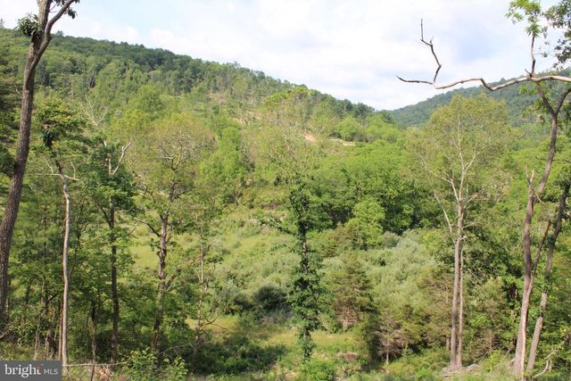 686.10 ACRES THORN BOTTOM RD, Wardensville, WV 26851
