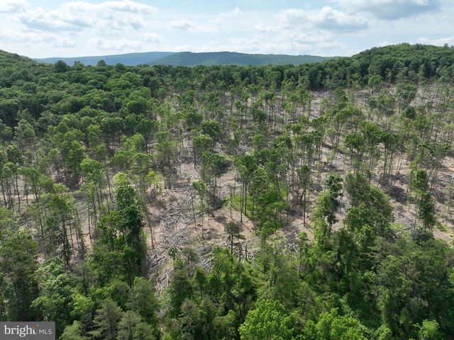 686.10 ACRES THORN BOTTOM RD, Wardensville, WV 26851