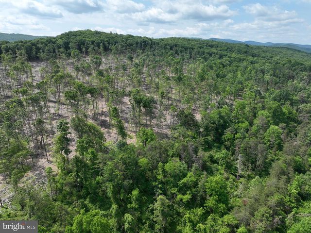 686.10 ACRES THORN BOTTOM RD, Wardensville, WV 26851