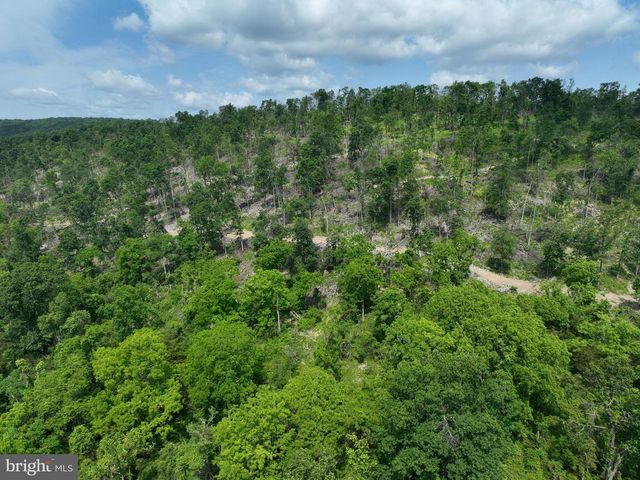 686.10 ACRES THORN BOTTOM RD, Wardensville, WV 26851