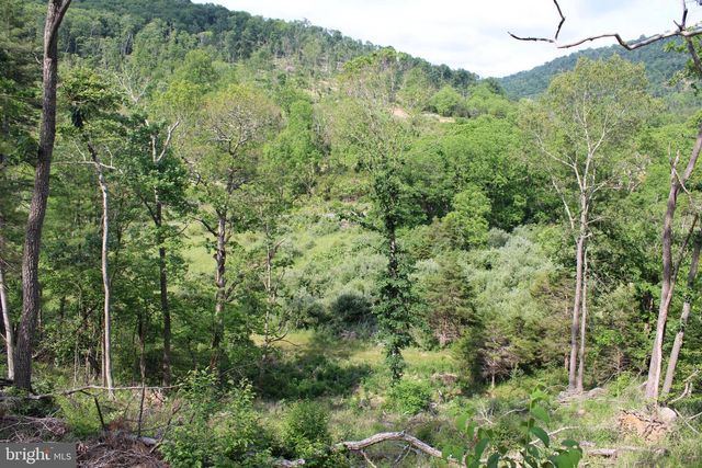 686.10 ACRES THORN BOTTOM RD, Wardensville, WV 26851