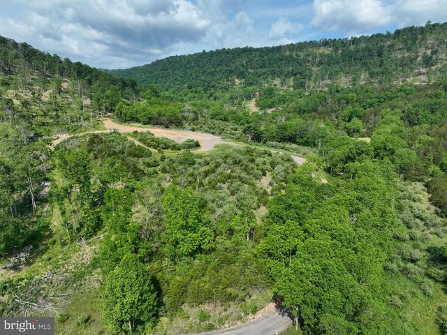 686.10 ACRES THORN BOTTOM RD, Wardensville, WV 26851