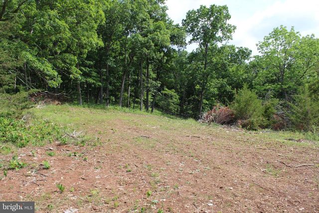 686.10 ACRES THORN BOTTOM RD, Wardensville, WV 26851