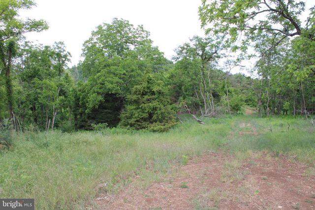 686.10 ACRES THORN BOTTOM RD, Wardensville, WV 26851