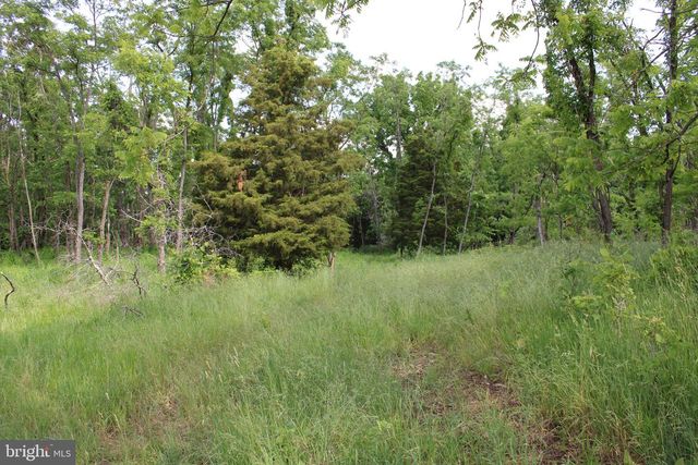686.10 ACRES THORN BOTTOM RD, Wardensville, WV 26851