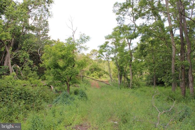 686.10 ACRES THORN BOTTOM RD, Wardensville, WV 26851