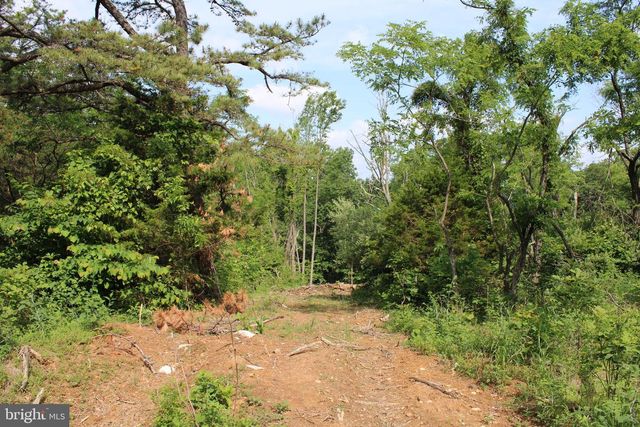 686.10 ACRES THORN BOTTOM RD, Wardensville, WV 26851