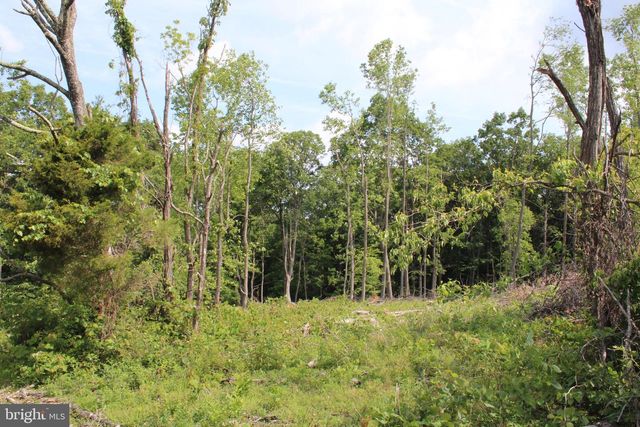 686.10 ACRES THORN BOTTOM RD, Wardensville, WV 26851