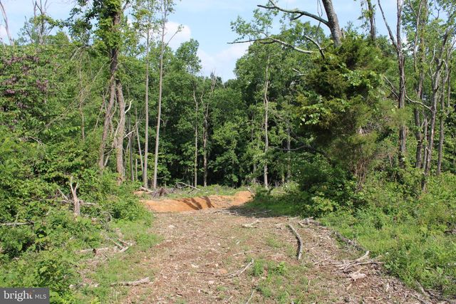 686.10 ACRES THORN BOTTOM RD, Wardensville, WV 26851