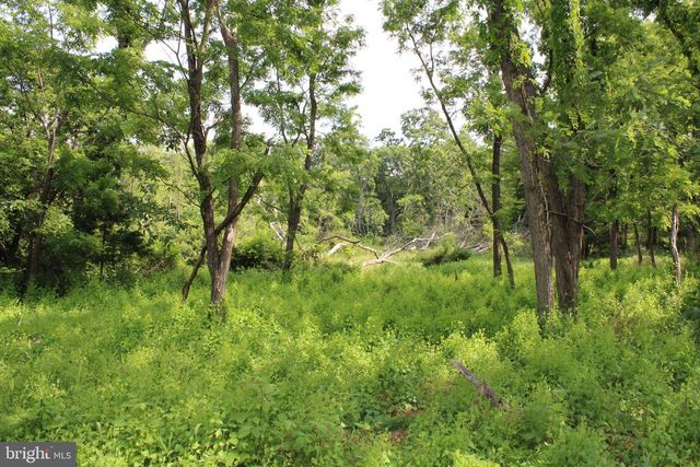 686.10 ACRES THORN BOTTOM RD, Wardensville, WV 26851