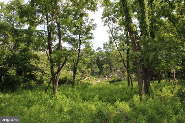 686.10 ACRES THORN BOTTOM RD, Wardensville, WV 26851