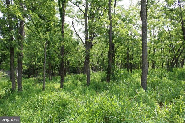 686.10 ACRES THORN BOTTOM RD, Wardensville, WV 26851