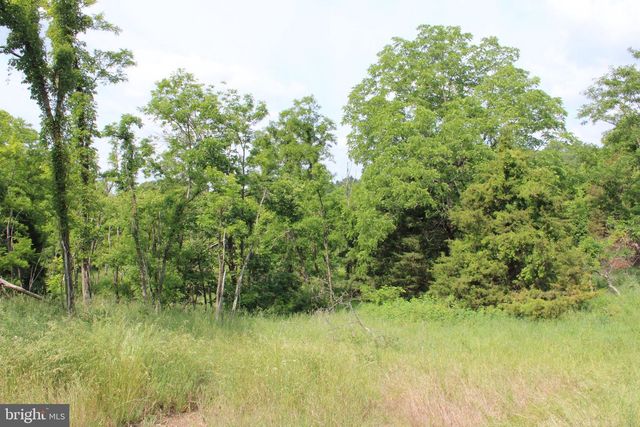686.10 ACRES THORN BOTTOM RD, Wardensville, WV 26851