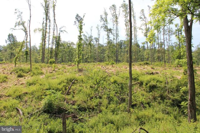 686.10 ACRES THORN BOTTOM RD, Wardensville, WV 26851
