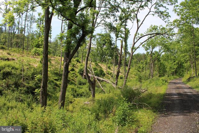 686.10 ACRES THORN BOTTOM RD, Wardensville, WV 26851