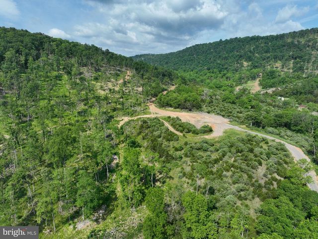 686.10 ACRES THORN BOTTOM RD, Wardensville, WV 26851
