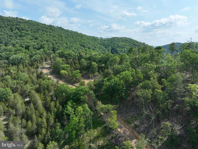 686.10 ACRES THORN BOTTOM RD, Wardensville, WV 26851