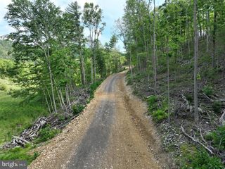 686.10 ACRES THORN BOTTOM RD, Wardensville, WV 26851