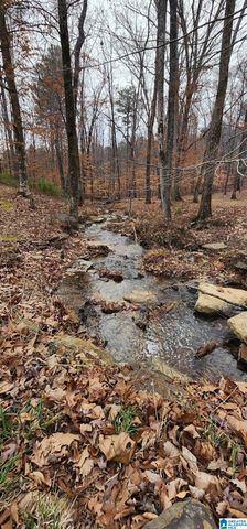 8536 PINE MOUNTAIN ROAD, Pinson, AL 35126