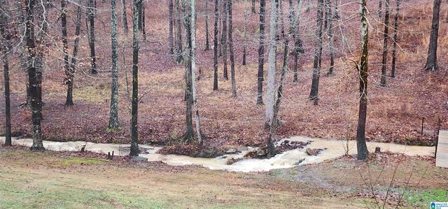 8536 PINE MOUNTAIN ROAD, Pinson, AL 35126