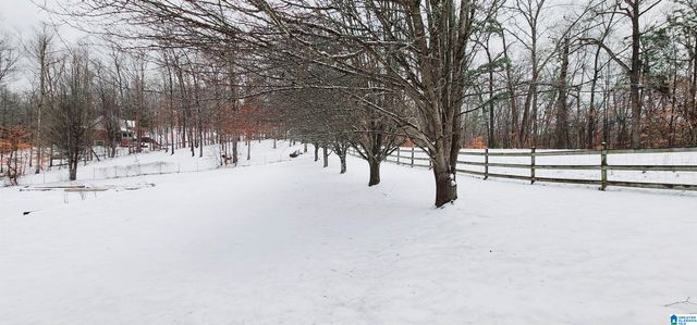 8536 PINE MOUNTAIN ROAD, Pinson, AL 35126