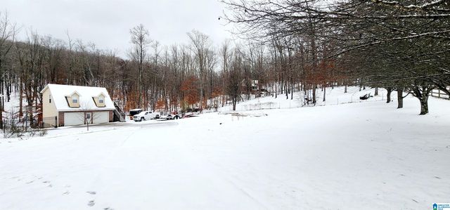 8536 PINE MOUNTAIN ROAD, Pinson, AL 35126