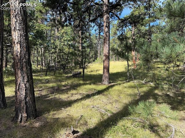 17405 E Goshawk Road, Colorado Springs, CO 80908